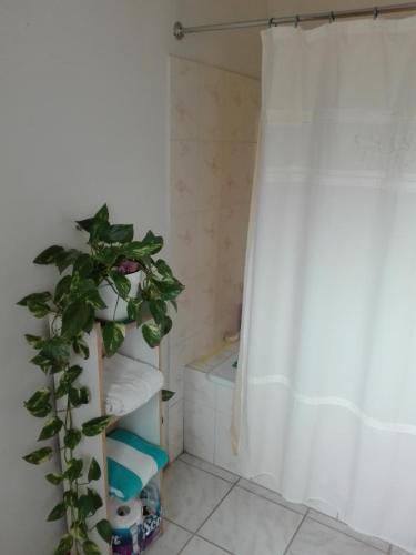 Habitaciones En El Valle De Elqui