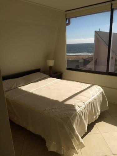 Apartamento Vellemar