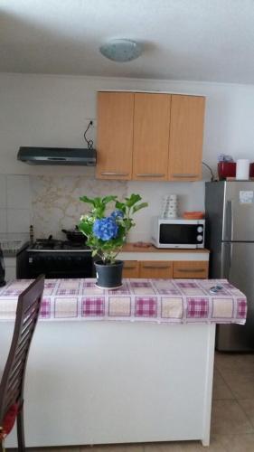 Apartamento Departamento Lago Ri�ihue