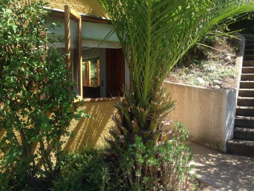 Hostal Departamento Re�aca Los Almendros