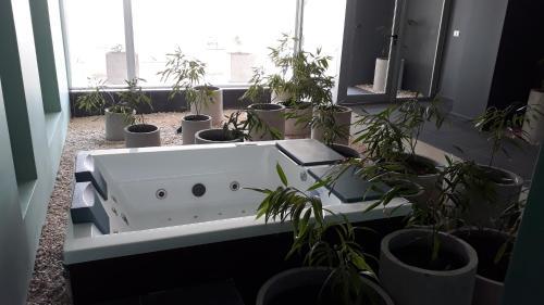 Apartamento Departamento Estudio Concon