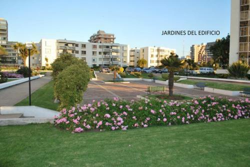 Apartamento Torre Del Pac�fico