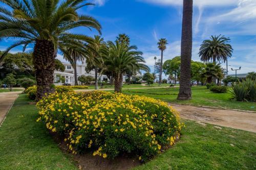 Apartamento Departamento En La Costa Central