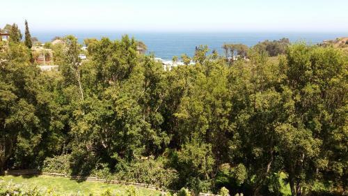 Apartamento Zapallar Chile