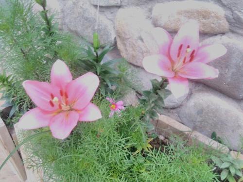 Bed & Breakfast Los Almendros