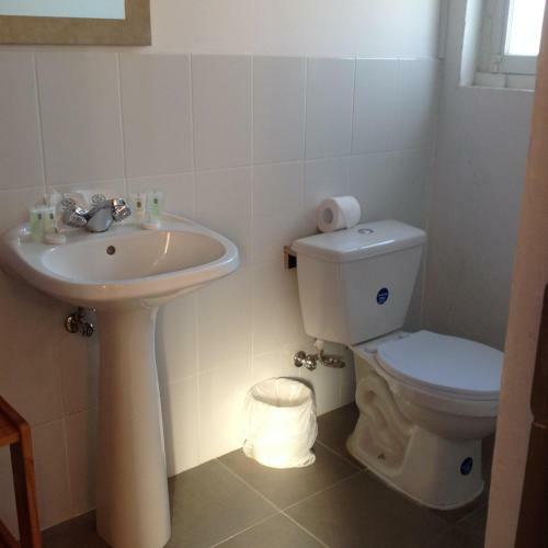 Lodge Hoster�a Pionero
