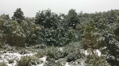 Casa Negra Nevados De Chillan