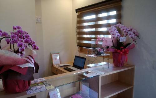 Hostal Guesthouse Coco Hiroshima (female Only)