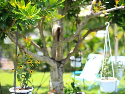 Hotel Sun Green Grass Ishigaki