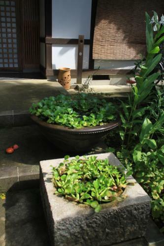 Apartamentos Guest House Dohei