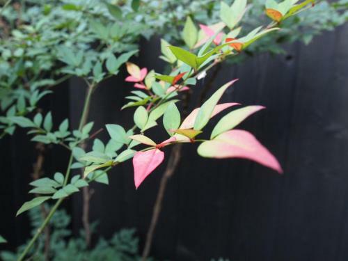 Hostal Higashiyama Megumi An