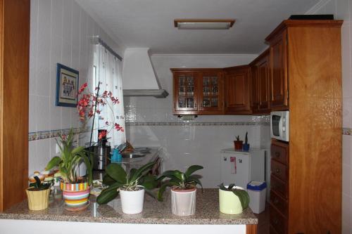 Apartamento Casa Das Merces