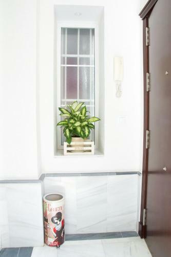 Apartamento Cadiz Centro Historico