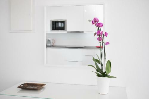 Apartamento Gama