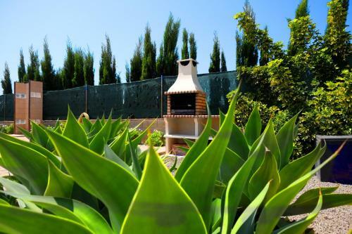 Villa Golden Olive