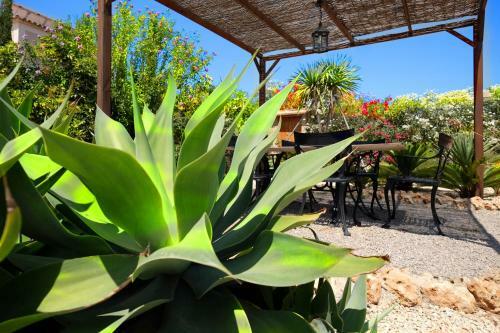 Villa Golden Olive