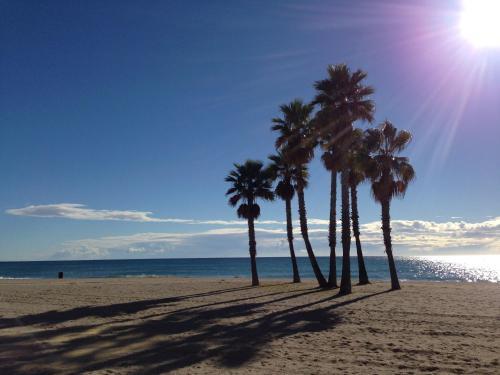 Apartamento Villaservice Roser