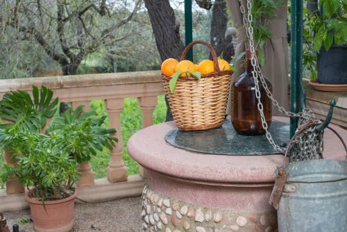 Villa Finca Can Lluc