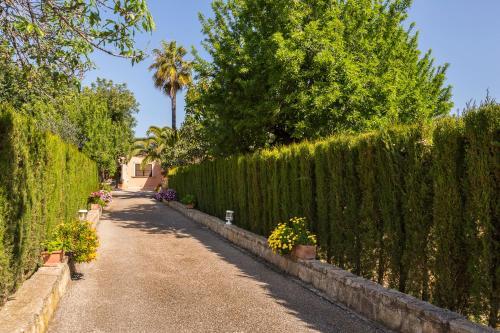 Villa Finca Can Lluc