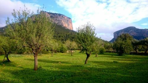 Villa Gabriel Bonaf� Sastre