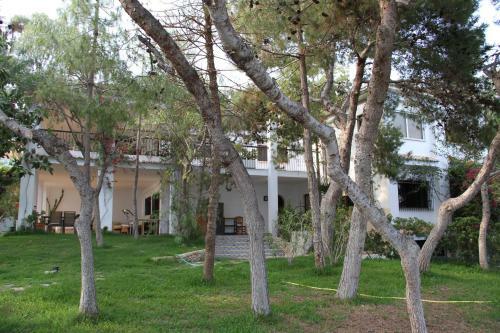 Chalet Cala Palmera