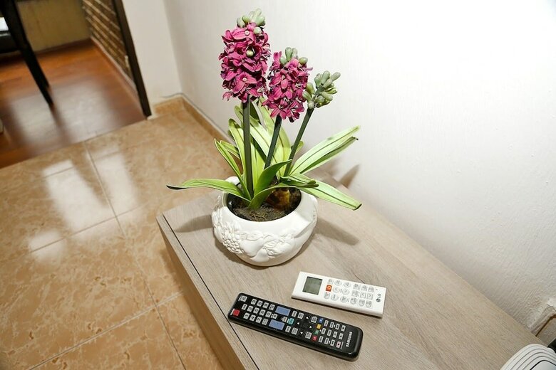Soto Center Apartment