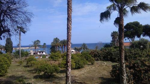 Camping Santa Clara