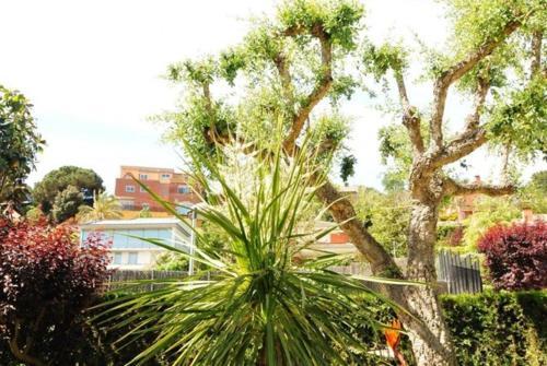 Arenys De Mar Villa Sleeps 8 Pool
