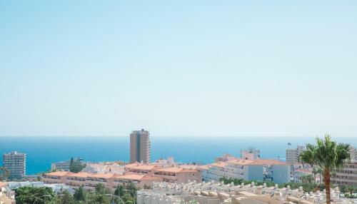 Apartamentos Ohasis