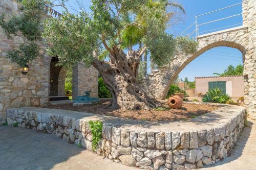 Villa Arta - 251884