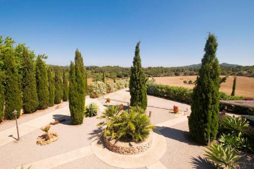 Finca Paradis Mhm
