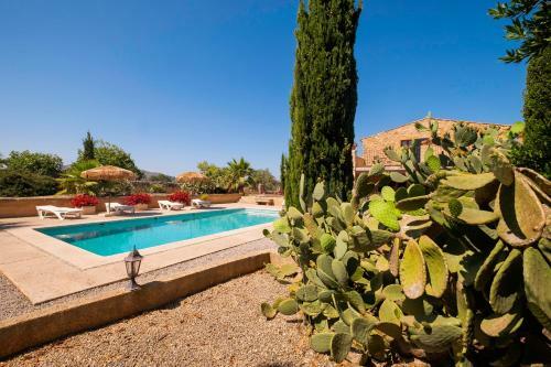 Finca Paradis Mhm
