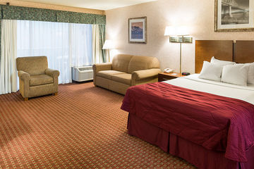 Hotel Holiday Inn Rochester-s (mayo