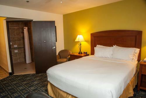 Hotel Holiday Inn Express Tucson-airport