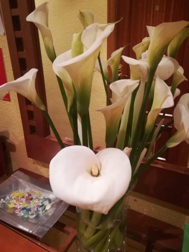 Hostal Pension To�i
