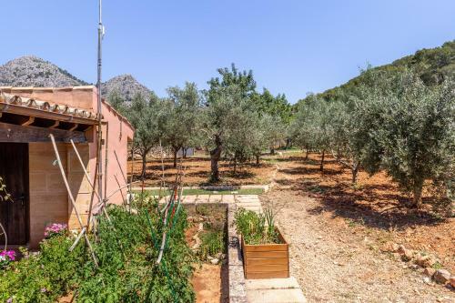 Apartamento Hall Of The Mountain