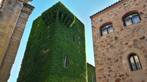Apartamento Diana Jard�n