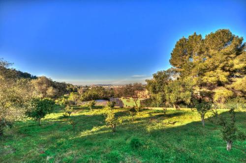 Villa Ibiza's View Jesus
