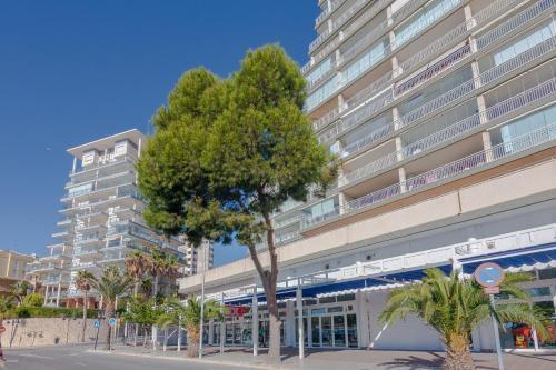 Apartamento Maritimo 4