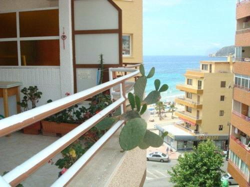 Apartamento Bertur Arenal