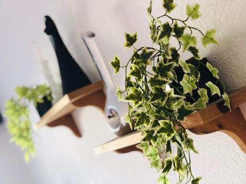 C&b Apartamento Capri