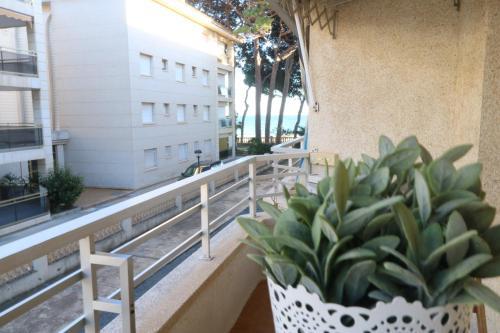 Apartbeach Tucan