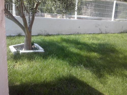 Shg Villa Stilton Cambrils