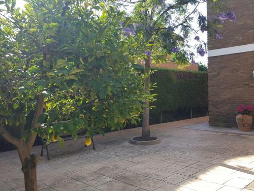 Miramar Serveis-casa Cambrils-vinyols Playa