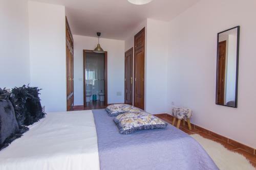 Live Malpais House