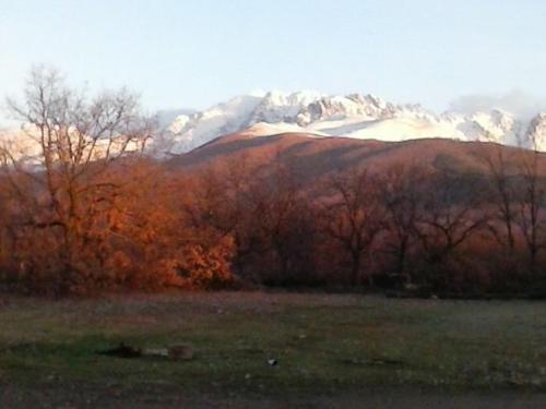 El Paso De Las Cig�e�as