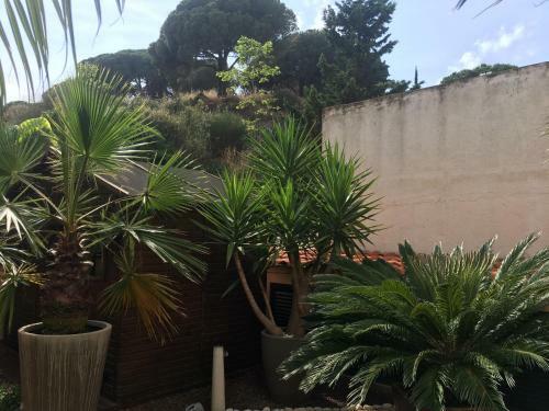 Apartamento Dreams Beach Canet