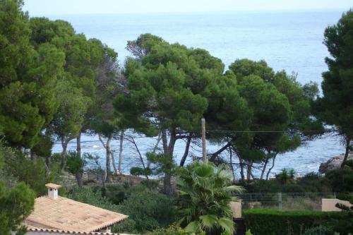 Villa Rotja