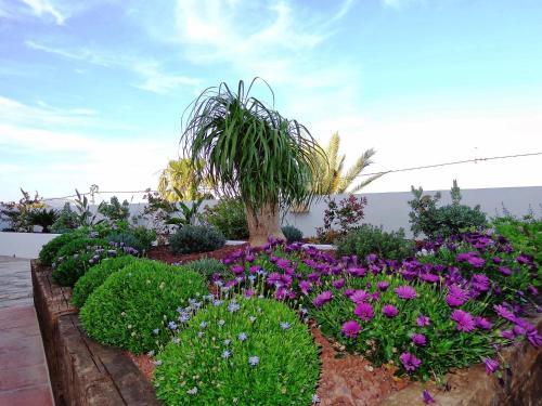 Holiday Home La Golondrina