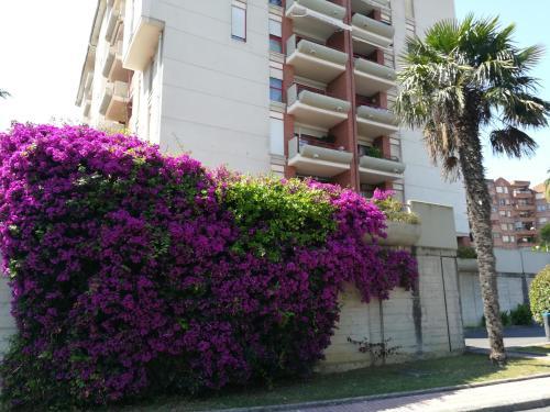 Apartamento Men�ndez Pelayo